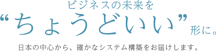 ビジネスの未来をちょうどいい形に。日本の中心から、確かなシステム構築をお届けします。